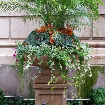 Fall Flower Container & Annual Display