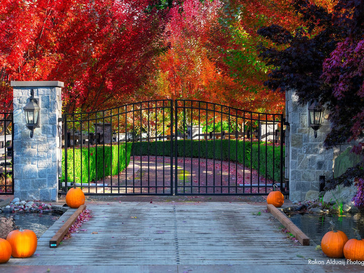 Driveway - Landscape