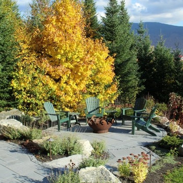 Fall landscape in the 1st year outdoor patio garden