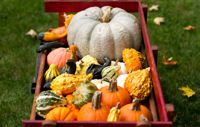 To-Dos: Your October Home Checklist