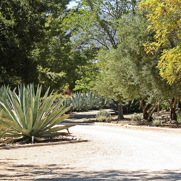 Family Compound