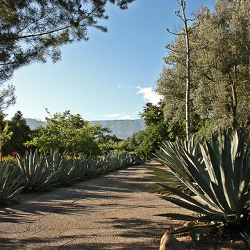 Family Compound