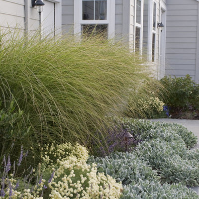 Design ideas for a traditional landscaping in San Francisco.