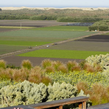 Farm Field Pacific Rim