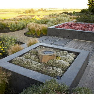 Ispirazione per un grande giardino contemporaneo esposto a mezz'ombra dietro casa con un giardino in vaso e pedane