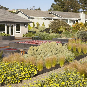 Farm Field Pacific Rim