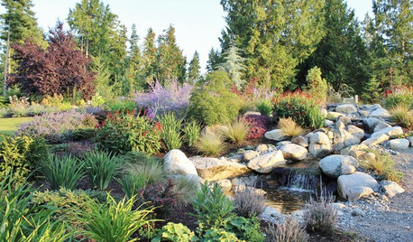 15 astuces pour aménager un bassin de jardin