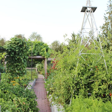 Farm to Pizza Oven to Pickleball Court
