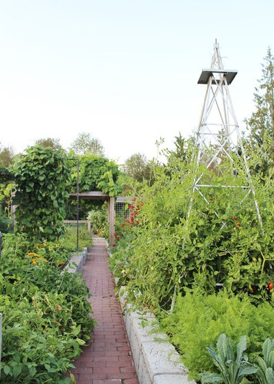 Farmhouse Garden by Kimberley Bryan