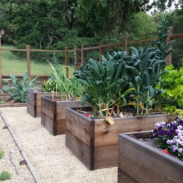 farm-to-table country garden