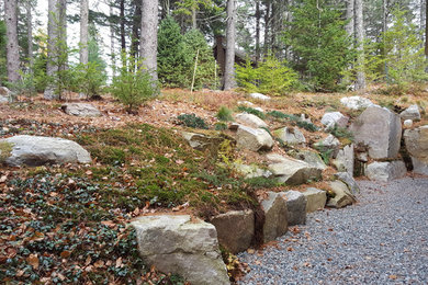 Inspiration for a transitional hillside retaining wall landscape in Other.