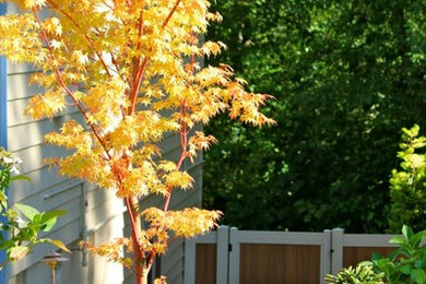 Diseño de jardín de tamaño medio en otoño en patio trasero con exposición total al sol