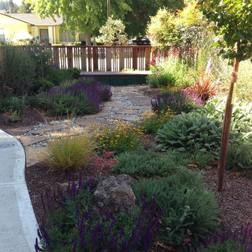 Felton pocket garden