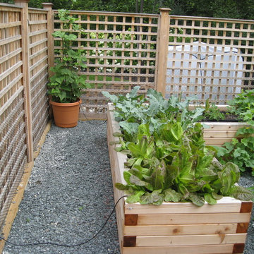 Fenced Garden