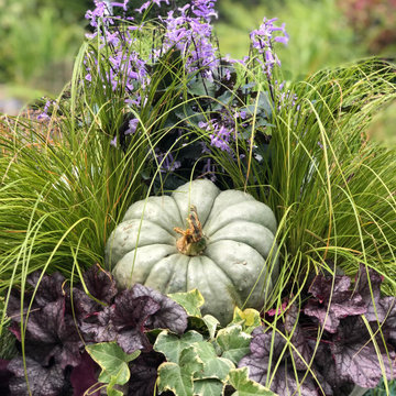 Festive Fall Planters