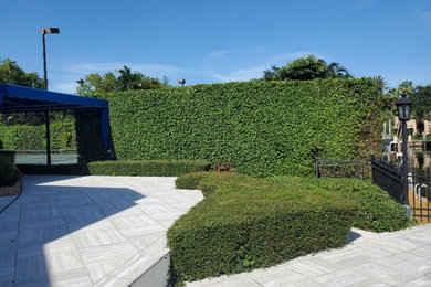 Ejemplo de jardín de secano minimalista de tamaño medio en patio trasero con privacidad, exposición total al sol y mantillo