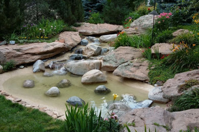 Design ideas for a transitional landscaping in Denver.