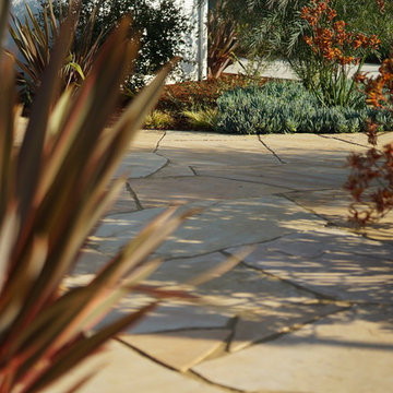 Flagstone and colorful plants
