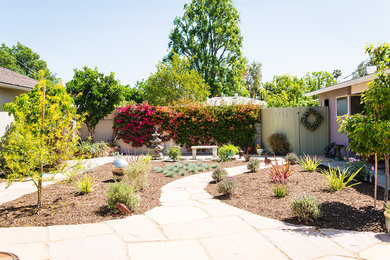 Diseño de jardín de secano actual de tamaño medio en verano en patio trasero con exposición total al sol y mantillo