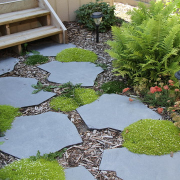 Flagstone, Moss, and Plants