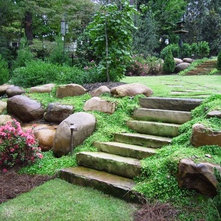 Traditional Landscape by Botanica Atlanta | Landscape Design-Build-Maintain
