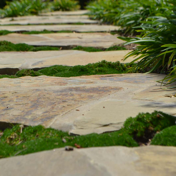 Flagstone Stepping Stones Photos & Ideas Houzz