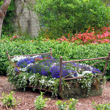 Flower Bed