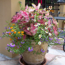 Flower containers