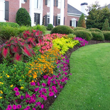 Flower Gardens in the South