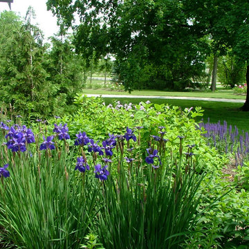 Flowering Perennials In A Residential Landscape