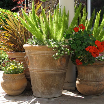 Flowering Pots