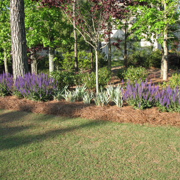 Flowering Sage and Variegated Iris