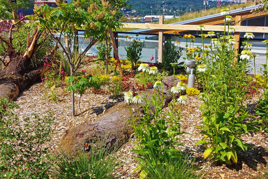 Flowers and logs in green roof garden