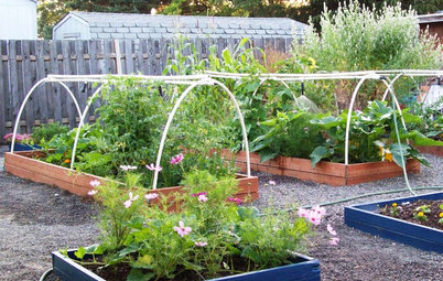 How to Grow the Edible Garden That’s Right for You