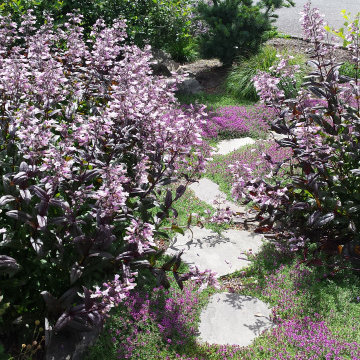 Flowery Entry Garden