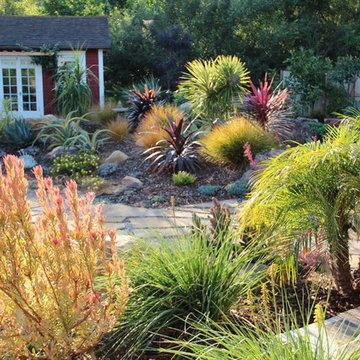 Foliage Plants Take Center Stage in San Luis Obispo