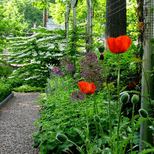 Foto di un piccolo giardino formale tradizionale esposto a mezz'ombra davanti casa in primavera con ghiaia e un ingresso o sentiero
