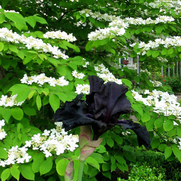 Formal city Garden