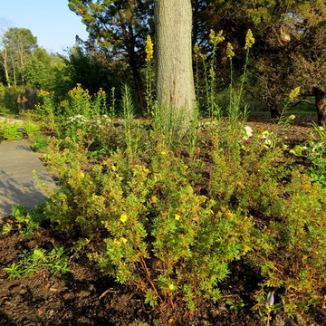 Formal Gardens with Native Plants