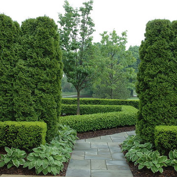 Formal Graden Path with Arborvitae and Boxwood