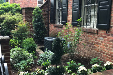 Design ideas for a traditional landscaping in DC Metro.