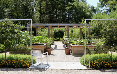 What to Know About Adding or Renovating an Edible Garden