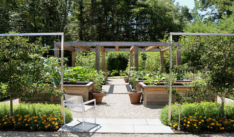What to Know About Adding or Renovating an Edible Garden