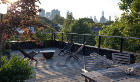 Perfekt unperfekt: Eine grüne Dachterrasse mit Ausblick über Brooklyn
