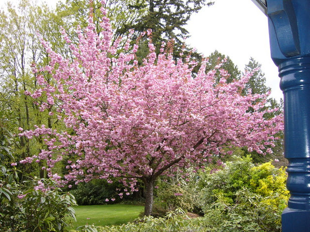 Traditional Garden Frenchflair