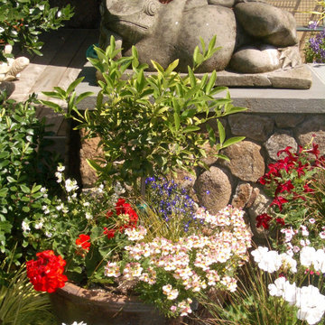 Frog sculpture and flower pots
