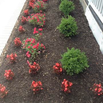 Front Entrance and Plantings - Cheltenham, MD
