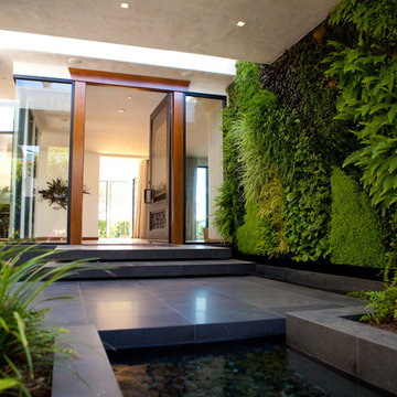 Front Entrance Living Wall