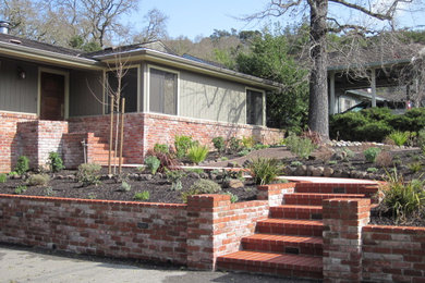 サンフランシスコにある高級な中くらいな、夏のコンテンポラリースタイルのおしゃれな前庭 (擁壁、日向) の写真