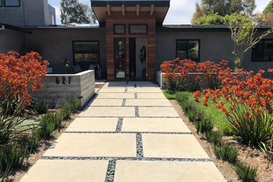Esempio di un giardino xeriscape minimalista esposto a mezz'ombra di medie dimensioni e davanti casa in primavera con un ingresso o sentiero e pavimentazioni in cemento
